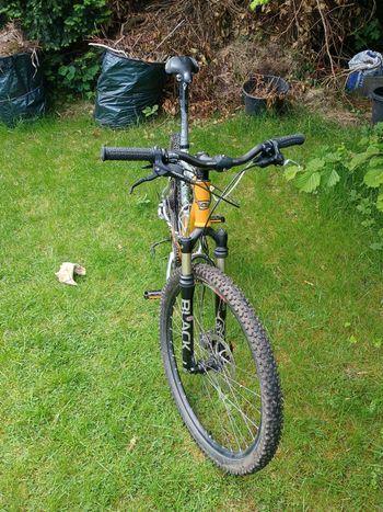 Gebrauchtes Canyon Yellow Stone 2001 Mountainbike, Orange — Bild 2 von 12