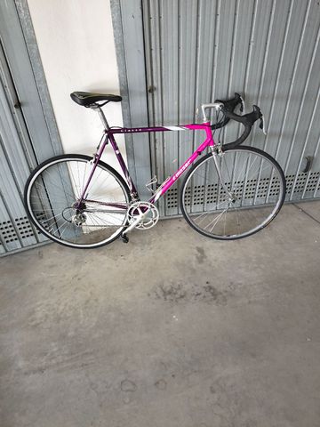 Gebrauchtes Francesco Moser Classe Frameset 1993 Road & Gravel