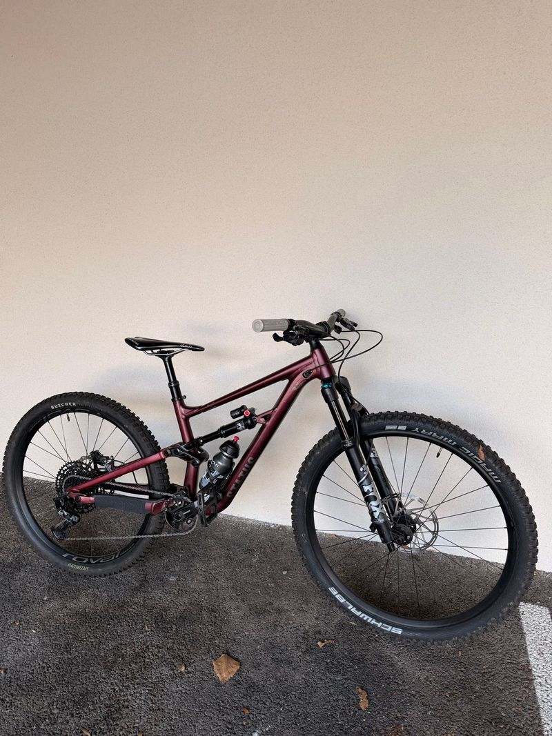 Specialized Status 160 2023 2023 MTB d'occasion