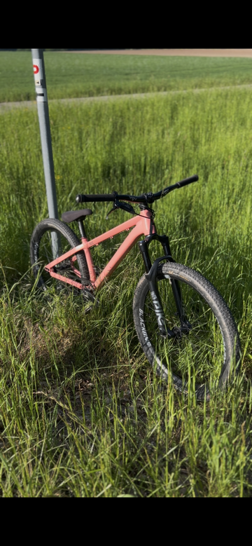 Tweedehands Rose The Bruce Ltd. 2024 2024 Mountainbike — afbeelding 8 van 8