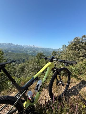 Gebrauchtes Canyon Lux World Cup 2025 Mountainbike, Grün — Bild 2 von 6