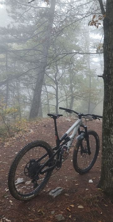 Canyon Spectral 29 6 2022 2022 MTB d'occasion