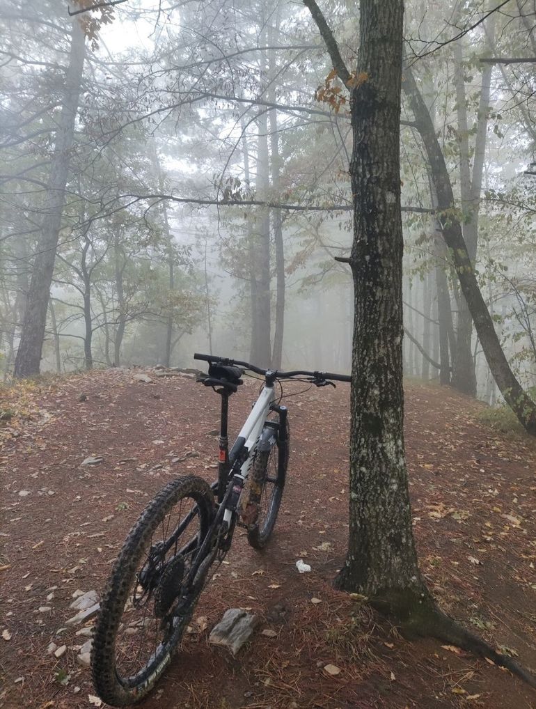 Brugt Canyon Spectral 29 6 2022 2022 Mountainbike — billede 3 af 3