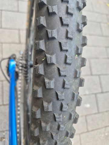 Used Canyon Strive AL 6.0 2018 Mountainbike, Blue — image 13 of 23