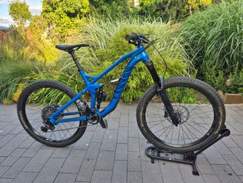 Brugt Canyon Strive AL 6.0 2018 MTB