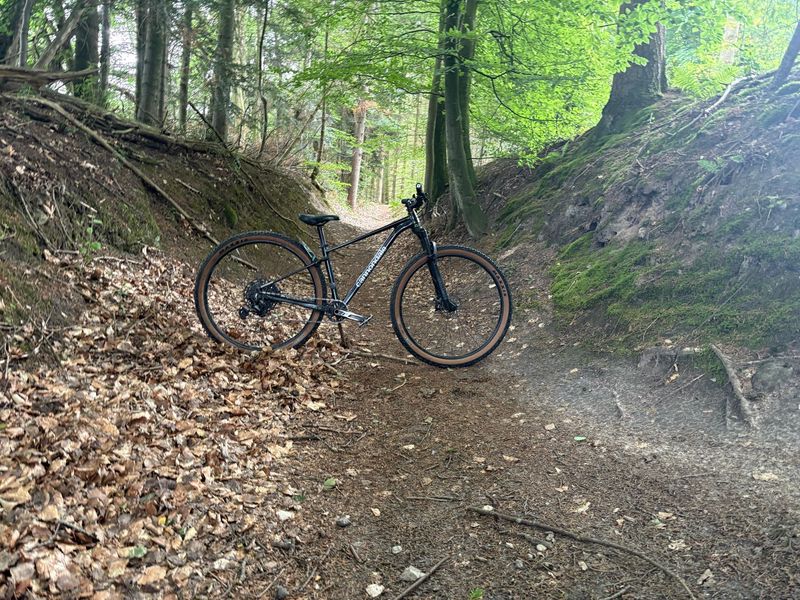 Cannondale Trail SL 3 2021 2021 Mountainbike d'occasion — image 1 sur 12