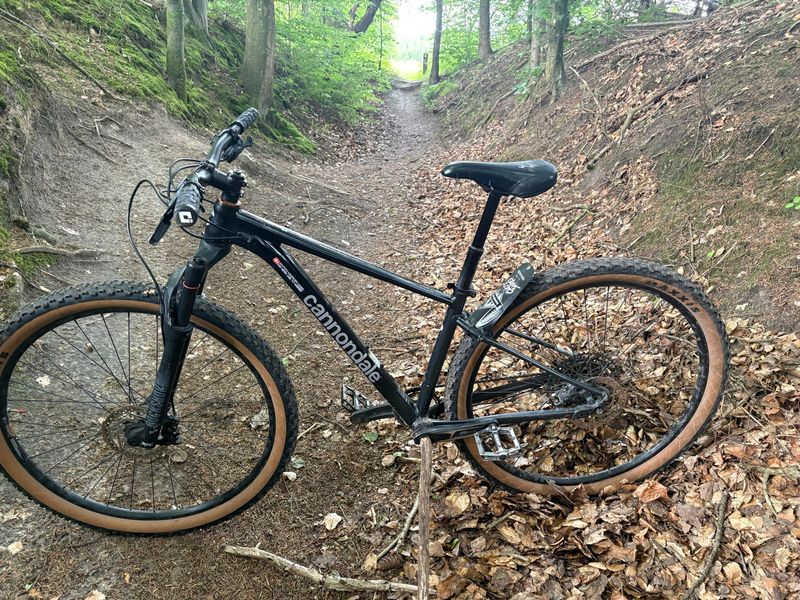 Cannondale Trail SL 3 2021 2021 Mountainbike d'occasion — image 10 sur 12