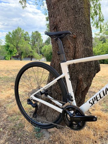 Used Specialized Roubaix SL8 Comp 2025 2025 Road & Gravel, White — image 4 of 12