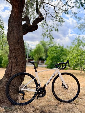 Used Specialized Roubaix SL8 Comp 2025 2025 Road & Gravel, White — image 1 of 12