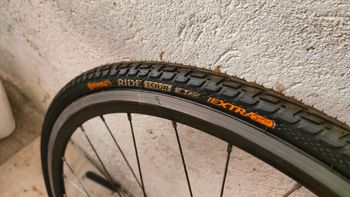 Used CIÖCC Custom Campagnolo Record 1980 Road & Gravel, Blue — image 5 of 7