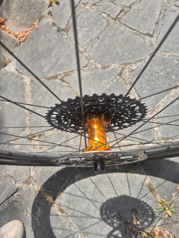 Léon Custom SRAM Force eTap AXS 2026 Road & Gravel d'occasion — image 24 sur 24