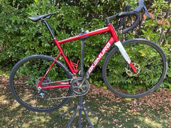 Gebrauchtes Nakamura CENTURY 300D 2025 Road & Gravel