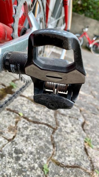 Brugt Bevilacqua 24 2013 Road & Gravel — billede 3 af 4
