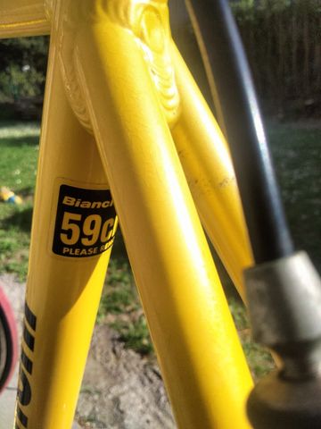 Used Bianchi Custom Other Campagnolo 2001 Road & Gravel, Orange — image 4 of 8