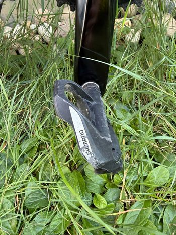 Used BMC Roadmachine SEVEN 2022 2022 Road & Gravel, Green — image 6 of 10