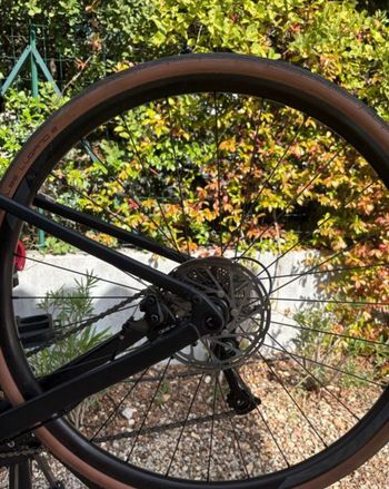 Used Scoot Custom Other 2024 Road & Gravel, Black — image 12 of 13