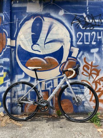 Tweedehands Canyon Endurace AL Disc 6.0 2020 2020 Road & Gravel