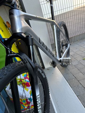 Used Canyon Exceed CF 5 2024 2024 Mountainbike, Light Gray, 29 — image 3 of 5