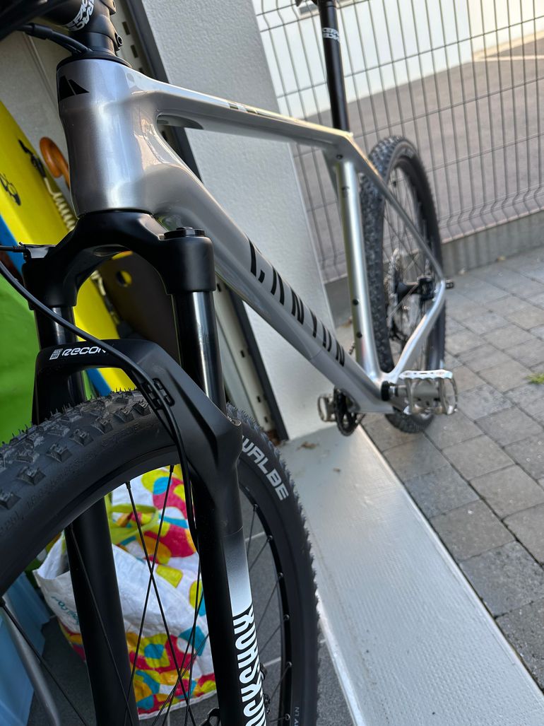 Used Canyon Exceed CF 5 2024 2024 Mountainbike, Light Gray, 29 — image 3 of 5