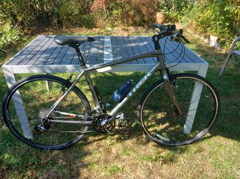 Trek Dual Sport 2 2020 2020 Urban & Touring d'occasion