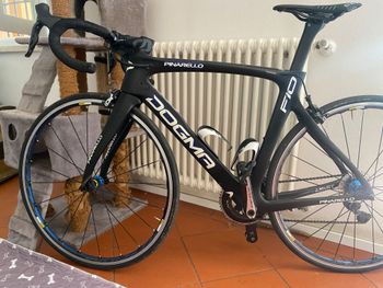Brugt Pinarello Dogma Shimano Dura Ace Di2 2019 Road & Gravel