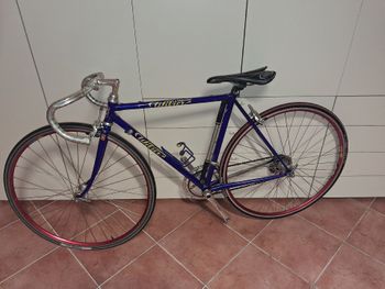 Brugt Wilier Triestina Custom Campagnolo Veloce 1990 Road & Gravel — billede 10 af 10