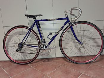 Used Wilier Triestina Custom Campagnolo Veloce 1990 Road & Gravel