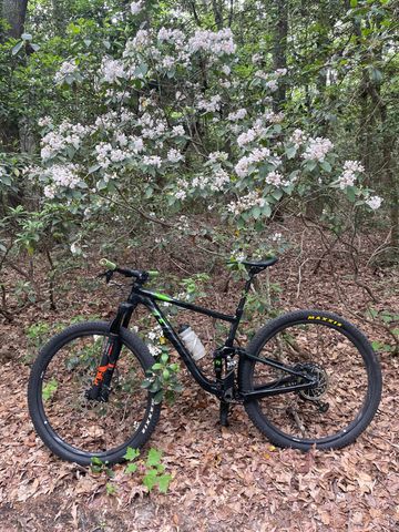 Used Giant Anthem 29 2 2020 2020 MTB