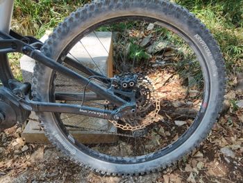 Lee Cougan E-QUEST Team 2025 2025 Mountainbike usato, Grigio chiaro — immagine 3 di 4