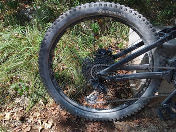 Lee Cougan E-QUEST Team 2025 2025 Mountainbike usato, Grigio chiaro — immagine 4 di 4