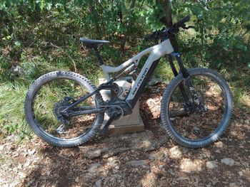 Used Lee Cougan E-QUEST Team 2025 2025 MTB