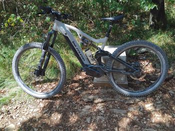 Lee Cougan E-QUEST Team 2025 2025 Mountainbike usato, Grigio chiaro — immagine 2 di 4