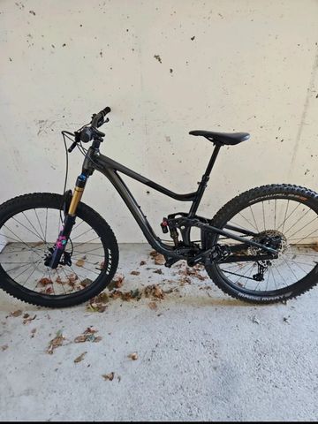 Gebrauchtes Giant Trance X 2 2024 2024 MTB
