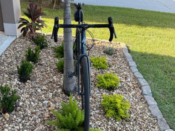 Used Specialized Diverge E5 2025 2025 Road & Gravel, Red — image 3 of 11