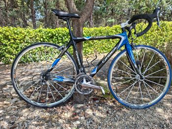Used Orbea Onix Shimano Ultegra 2010 Road & Gravel