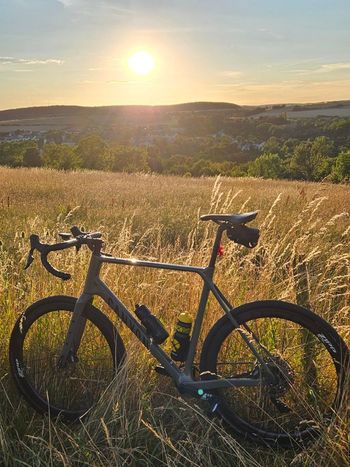 Canyon Grizl CF SL 6 AXS 2024 2024 Road & Gravel usato