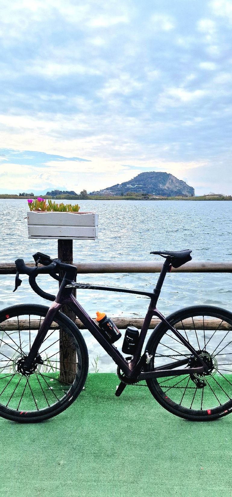 Used Scoot Custom SRAM Rival eTap AXS 2022 Road & Gravel, Purple — image 7 of 7
