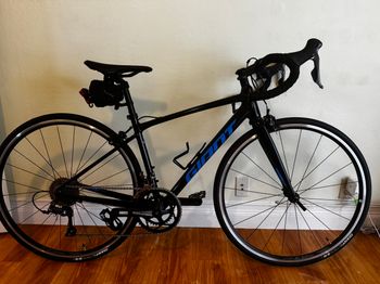 Used Giant Contend 3 2021 2021 Road & Gravel