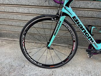Brugt Bianchi Infinito CV Chorus 2016 2016 Road & Gravel — billede 5 af 29