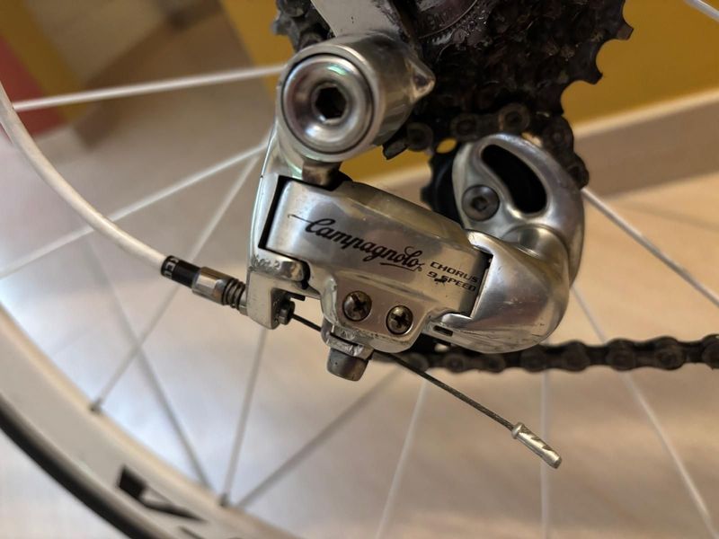 Used Bianchi Custom Campagnolo Chorus 2004 Road & Gravel, Black — image 7 of 37
