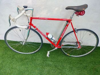 Used Pinarello Treviso Other 1984 Road & Gravel