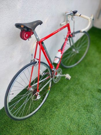 Used Pinarello Treviso Other 1984 Road & Gravel, Red — image 11 of 11