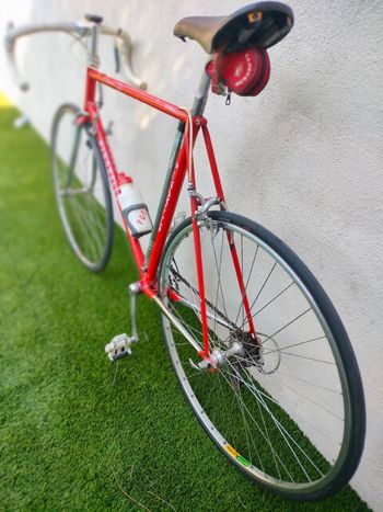 Used Pinarello Treviso Other 1984 Road & Gravel, Red — image 5 of 11