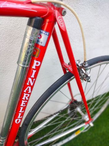 Used Pinarello Treviso Other 1984 Road & Gravel, Red — image 7 of 11