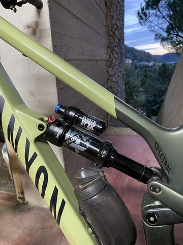 Brugt Canyon Spectral 29 CF 8 2024 2024 Mountainbike — billede 3 af 7