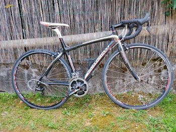 Gebrauchtes Saccarelli Custom Campagnolo Chorus 2018 Road & Gravel