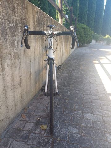 Used Colnago V1-r Shimano Dura Ace 2014 Road & Gravel, White — image 3 of 3