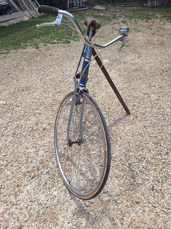 Tweedehands Perina Custom Other 1967 Road & Gravel — afbeelding 5 van 6