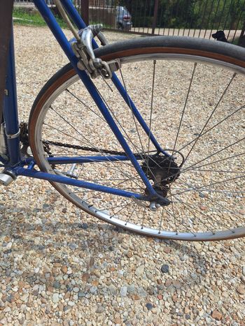 Tweedehands Perina Custom Other 1967 Road & Gravel — afbeelding 3 van 6