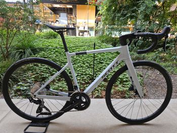 Gebrauchtes Scott Addict 50 2025 2025 Road & Gravel